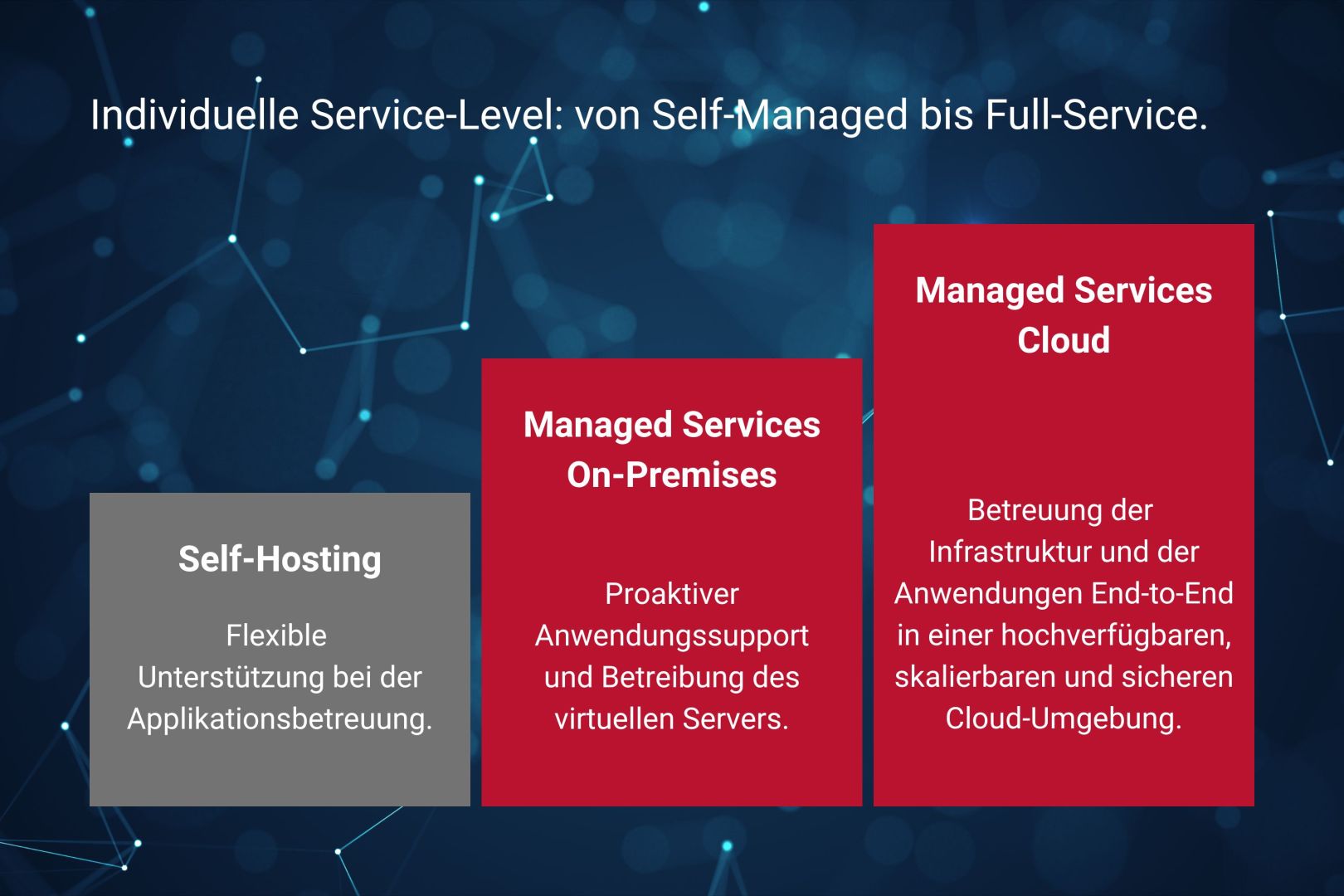 Cloud-Infrastruktur und Managed Services von Element Logic für die Lager-IT