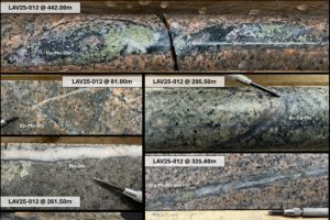 Core Silver erweitert das Porphyrsystem auf dem Kupferprojekt Laverdiere um 450 Meter nach Süden