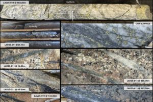 Core Silver erweitert die Mineralisierung auf dem Kupferprojekt Laverdiere um 300 m