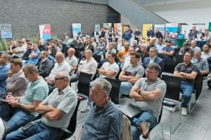 Dachtag in Mainz