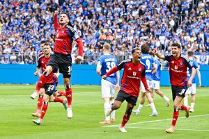Darmstadt 98 - Hamburger SV