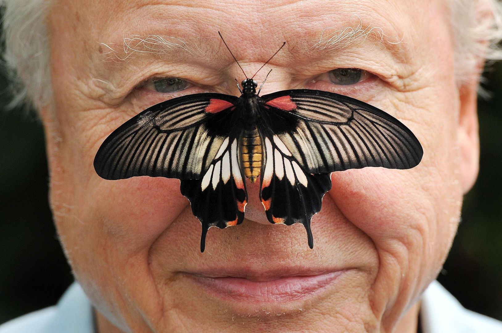 David Attenborough wird 100