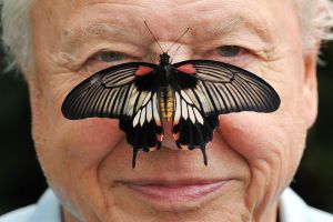 David Attenborough wird 100