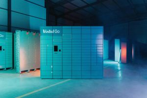 Der Mann hinter Vinted: Wie ein CEO ein Milliarden-Start-up schuf