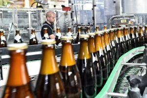 Deutscher Biermarkt im freien Fall – nur alkoholfreies Bier wächst