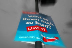 Deutschland driftet – AfD zieht mit der Union gleich