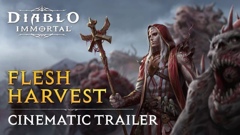 Diablo Immortal – nächstes Update steht unmittelbar bevor