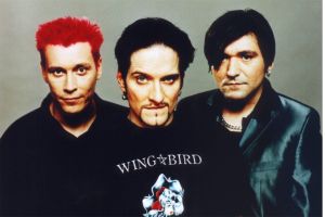 Die Ärzte