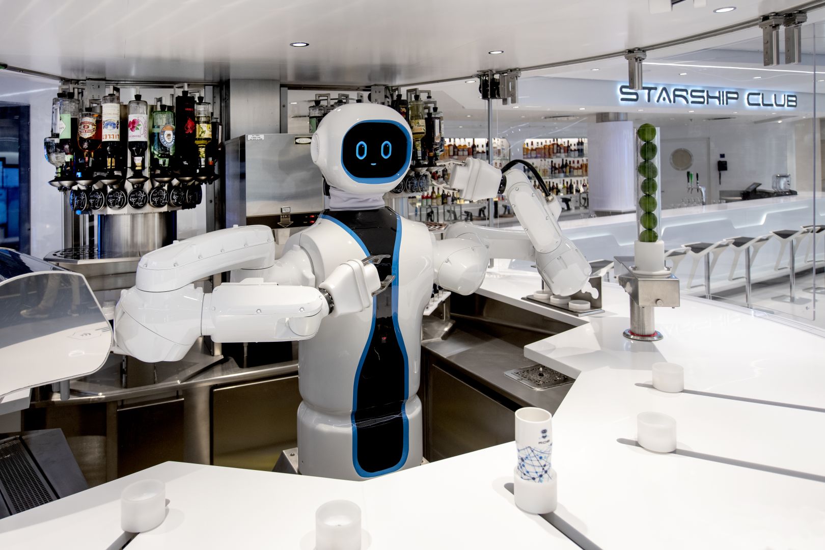 Die aufregendsten Borderlebnisse der Flotte von MSC Cruises