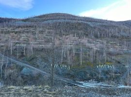 Die E-Mobilität braucht Rohstoffe