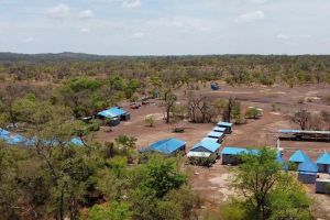 Die Fed und der Goldpreis