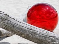 Die Katze lsst VOX wieder hngen