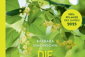 Die Linde ist Heilpflanze des Jahres 2025