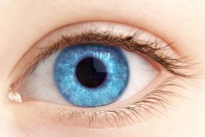 Digital Eye Strain: Warum unsere Augen in der „Display-Ära“ neue Lösungen benötigen