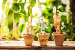 Digitaler Wegweiser durch den Förderdschungel