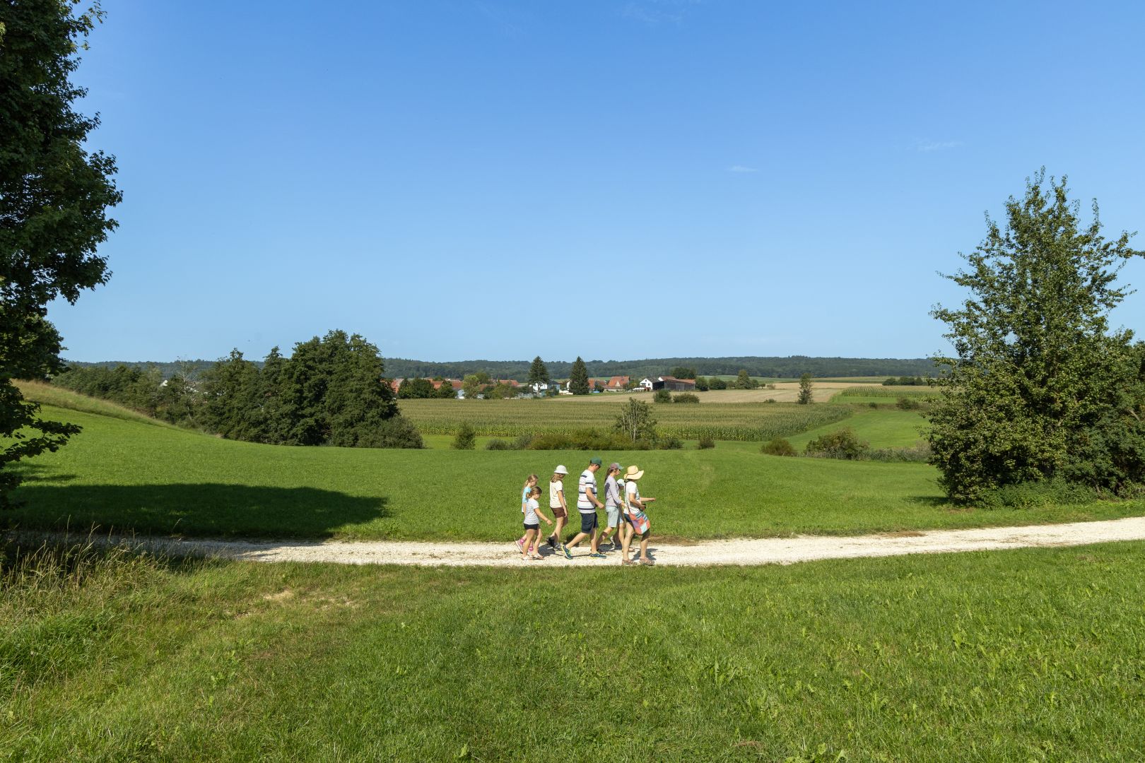 Donautal-Wandertrio 2026: Vier Tage Wandererlebnis zwischen Donau, Auwald und Alb