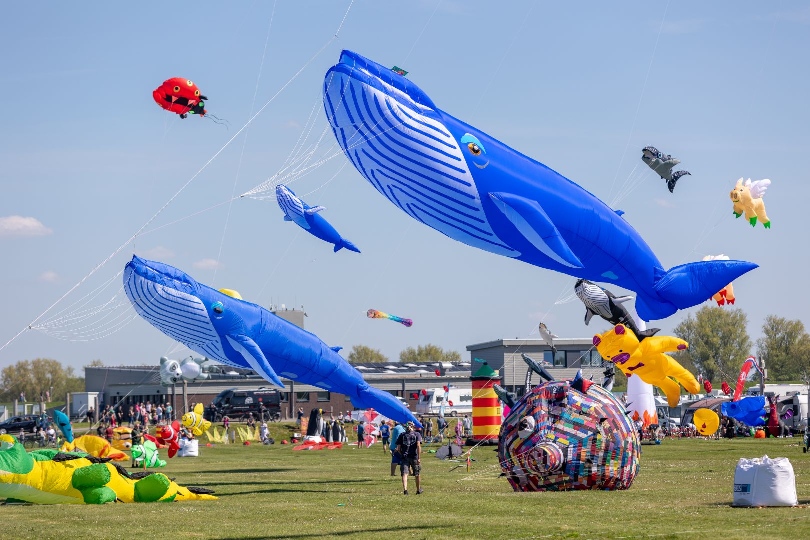 Dornum: Drachenfest in Dornumersiel: Saisonauftakt mit buntem Himmel über der Nordsee