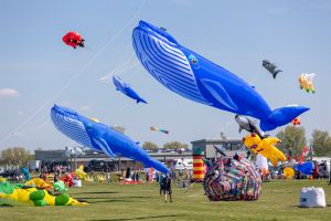 Dornum: Drachenfest in Dornumersiel: Saisonauftakt mit buntem Himmel über der Nordsee