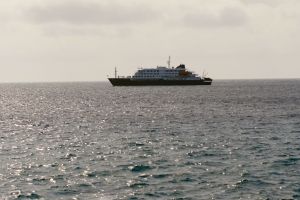 Drei Tote nach Hantavirus-Ausbruch auf Kreuzfahrtschiff