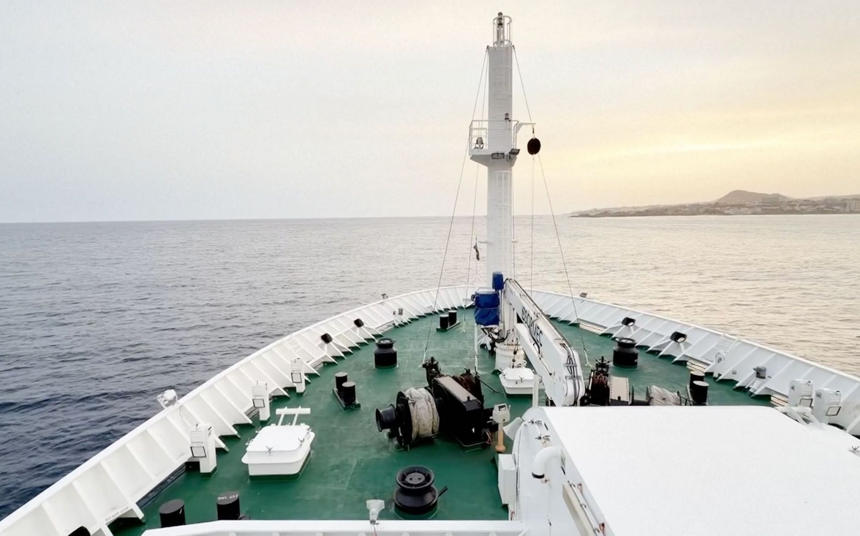 Drei Tote nach Hantavirus-Ausbruch auf Kreuzfahrtschiff