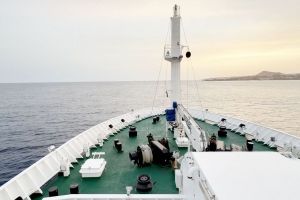 Drei Tote nach Hantavirus-Ausbruch auf Kreuzfahrtschiff