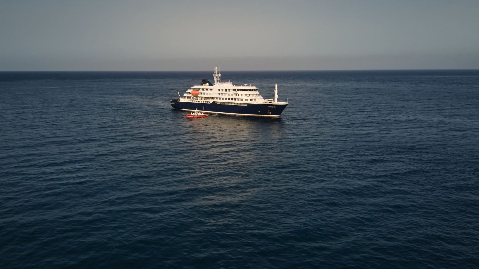 Drei Tote nach Hantavirus-Ausbruch auf Kreuzfahrtschiff