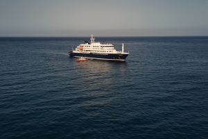Drei Tote nach Hantavirus-Ausbruch auf Kreuzfahrtschiff