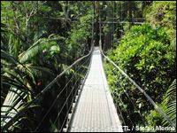 Dschungel-Überraschung: RTL bringt zweites Camp zurück