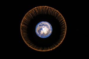 Earth Hour startet in Neuseeland