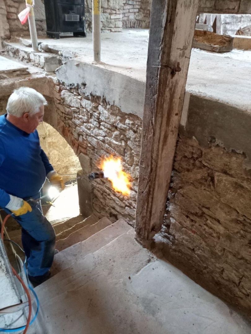 Echter Hausschwamm – Gefahr für Ihre Immobilie