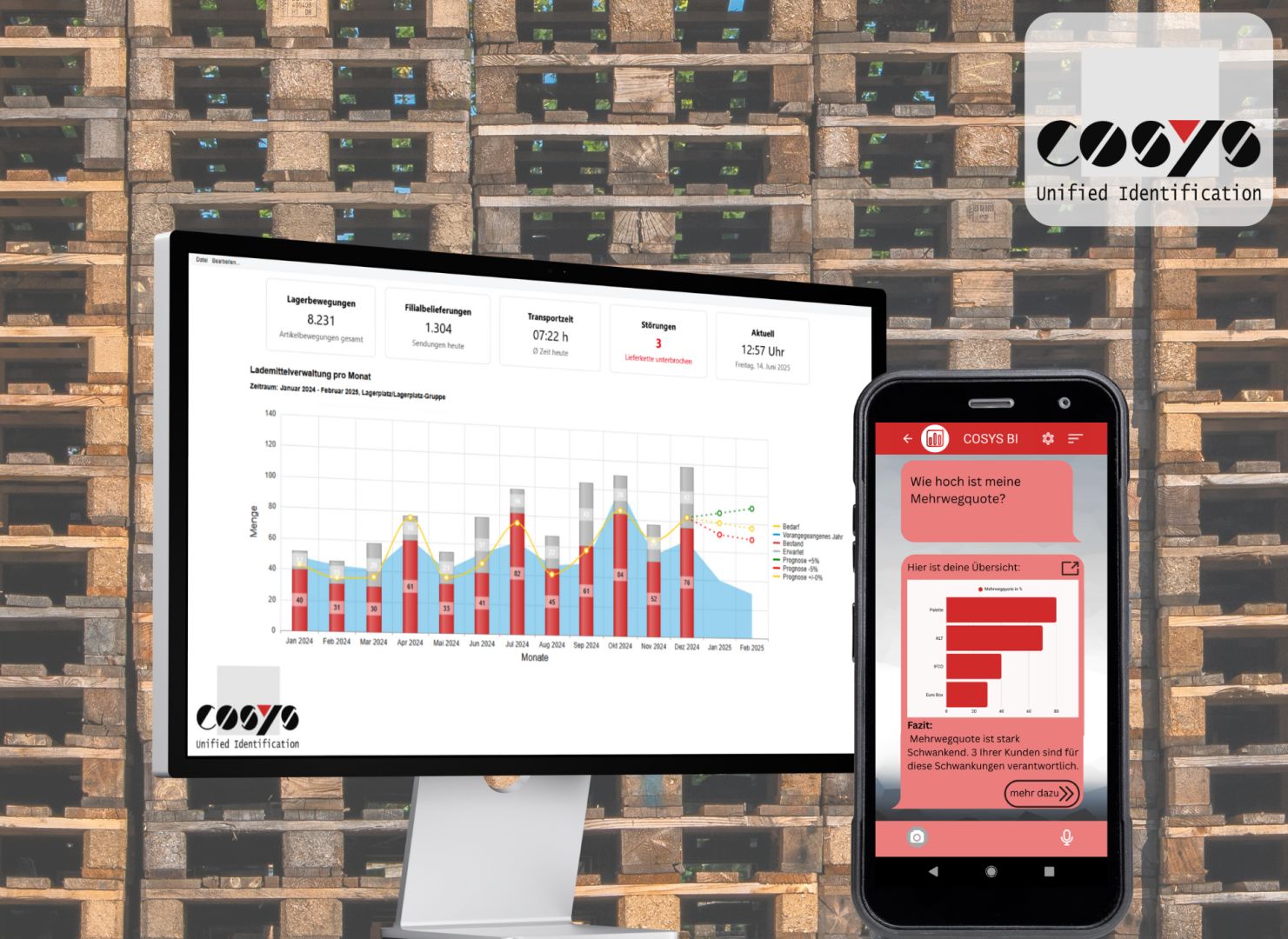 Effiziente Lademittelverwaltung mit Business Intelligence und PPWR-Integration