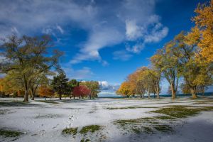 Ein bezaubernder Herbstpark mit farbenprächtigem Laub und frühem Schnee unter klarem, blauem Himmel.
