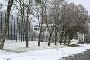 Eine idyllische Winterlandschaft in Baden-Württemberg mit schneebedeckten Bäumen und Gebäuden.