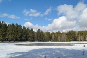 Eine ruhige Schneelandschaft mit einem Wald unter einem strahlend blauen Himmel mit vereinzelten Wolken.