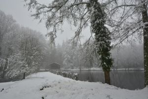 Eine ruhige Winterlandschaft mit einem schneebedeckten Teich und Bäumen.