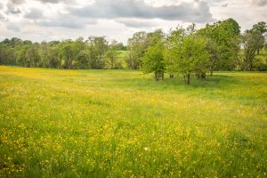 Einzigartiger Naturschatz und starke Gemeinschaft
