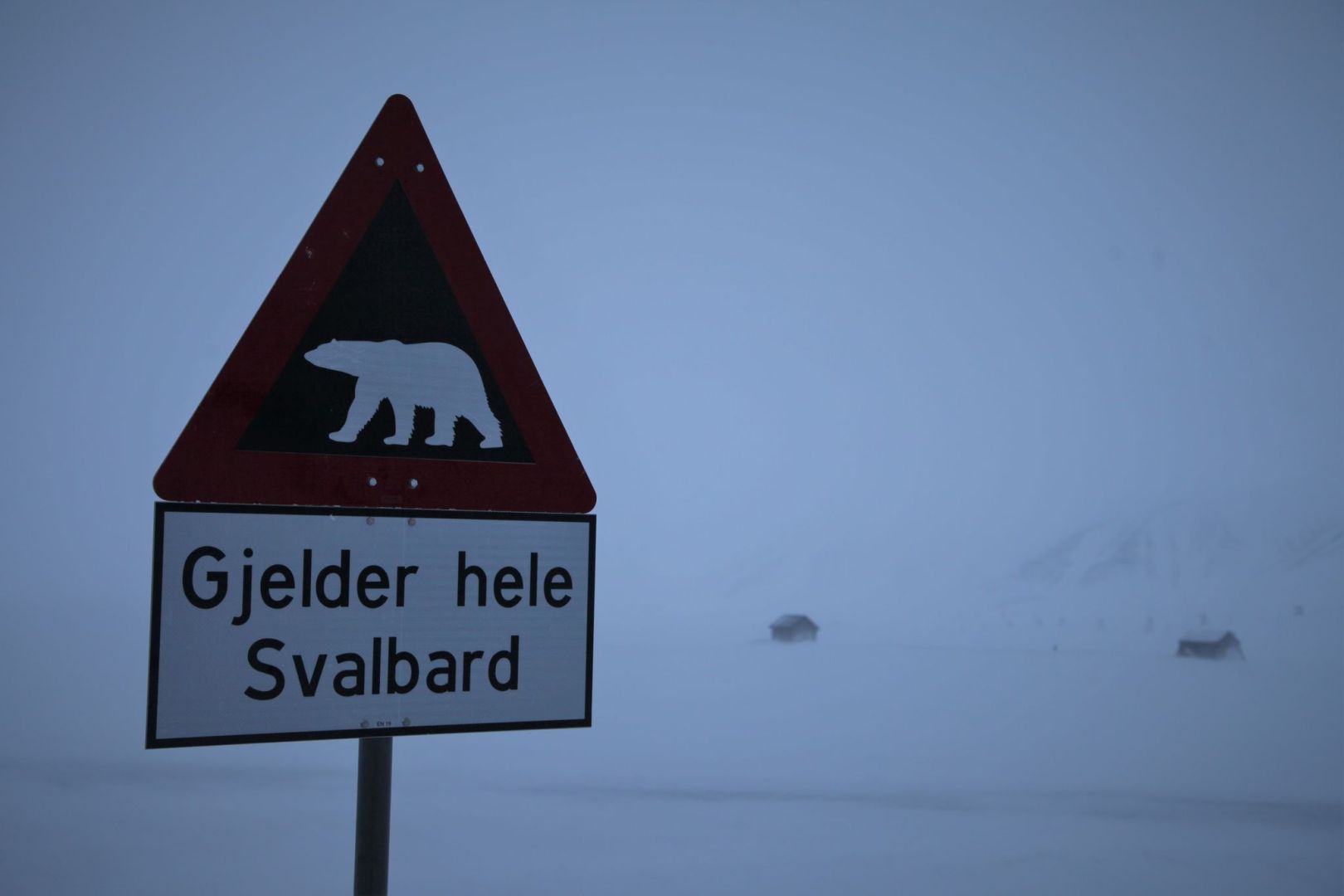 Eisbär auf Spitzbergen erschossen