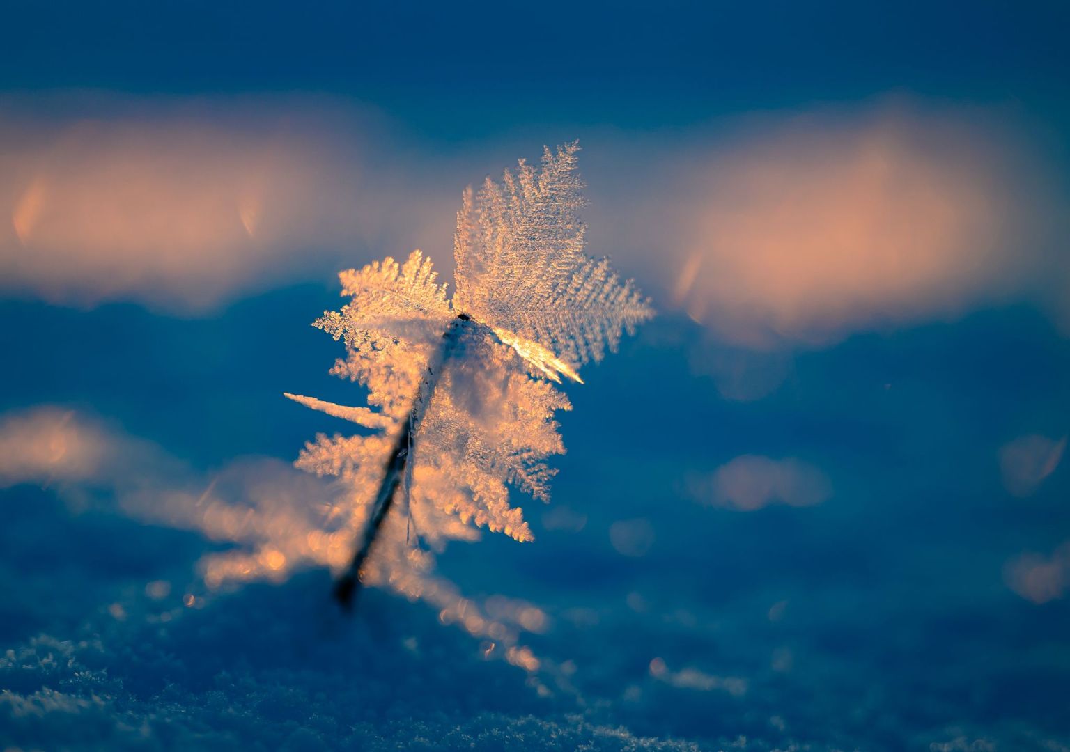 Eisiger Wintermorgen
