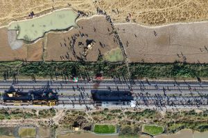 Elefanten sterben in Indien bei Kollision mit Zug