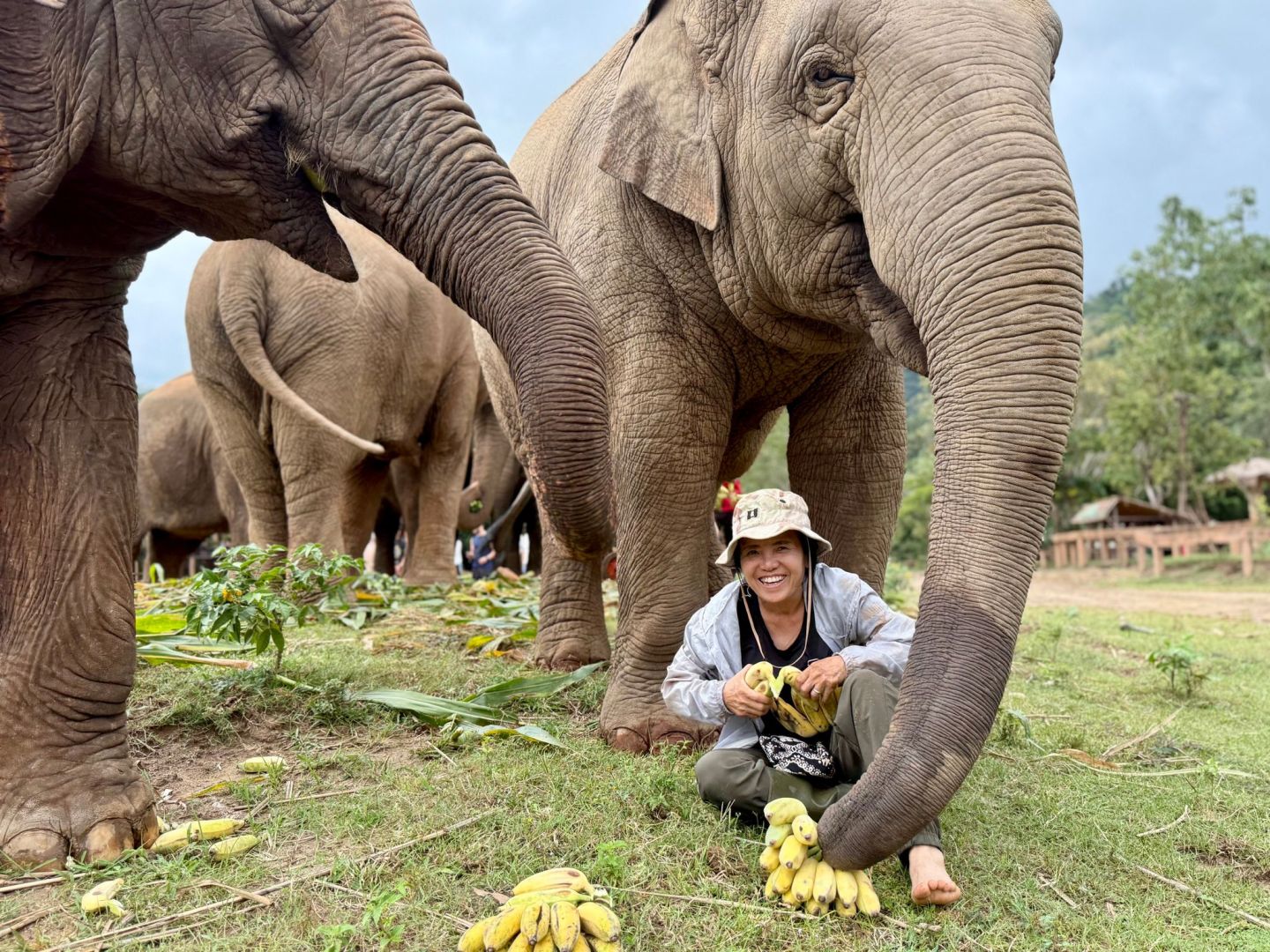 Elefantenflüsterin Saengduean «Lek» Chailert