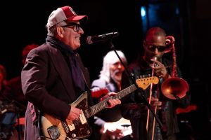 Elvis Costello
