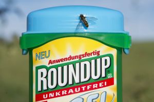 Endspiel in den USA: Bayer holt zum vernichtenden Schlag aus