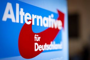 Entscheidung in AfD-Eilverfahren