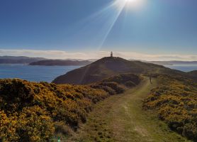 Erdbeben in Neuseeland