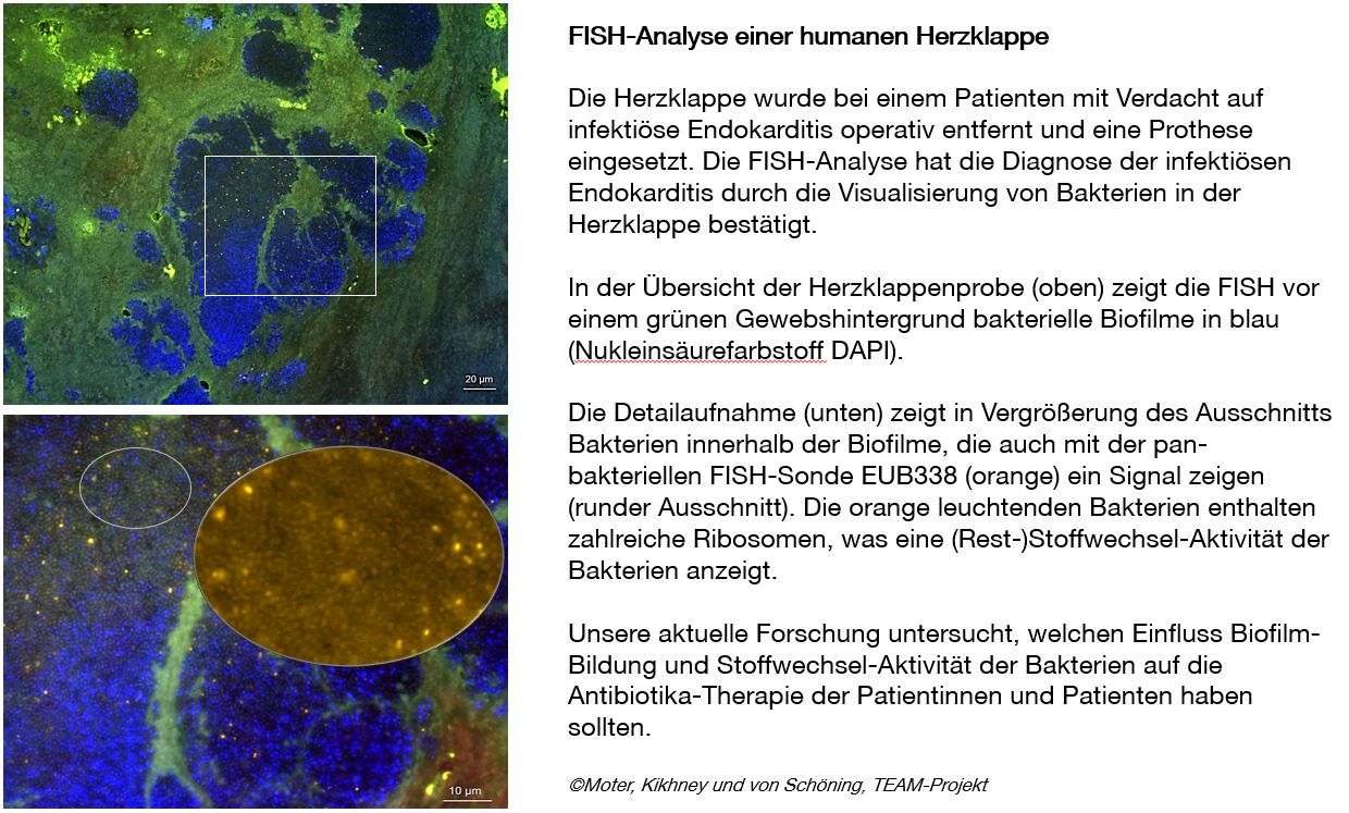 Erfolgreicher Abschluss des Forschungsprojekts TEAM