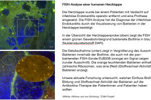Erfolgreicher Abschluss des Forschungsprojekts TEAM