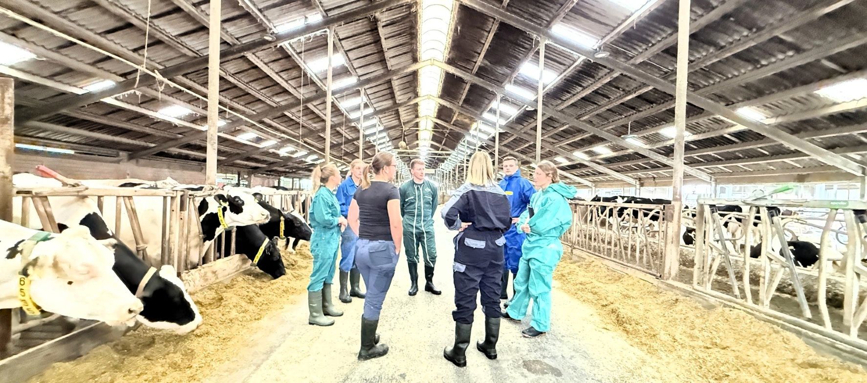 Erfolgreicher AVA- Fütterungscontrolling-Workshop im Milchkuhbetrieb