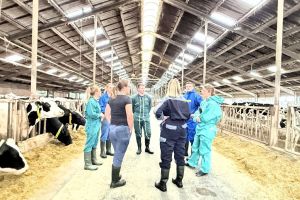 Erfolgreicher AVA- Fütterungscontrolling-Workshop im Milchkuhbetrieb