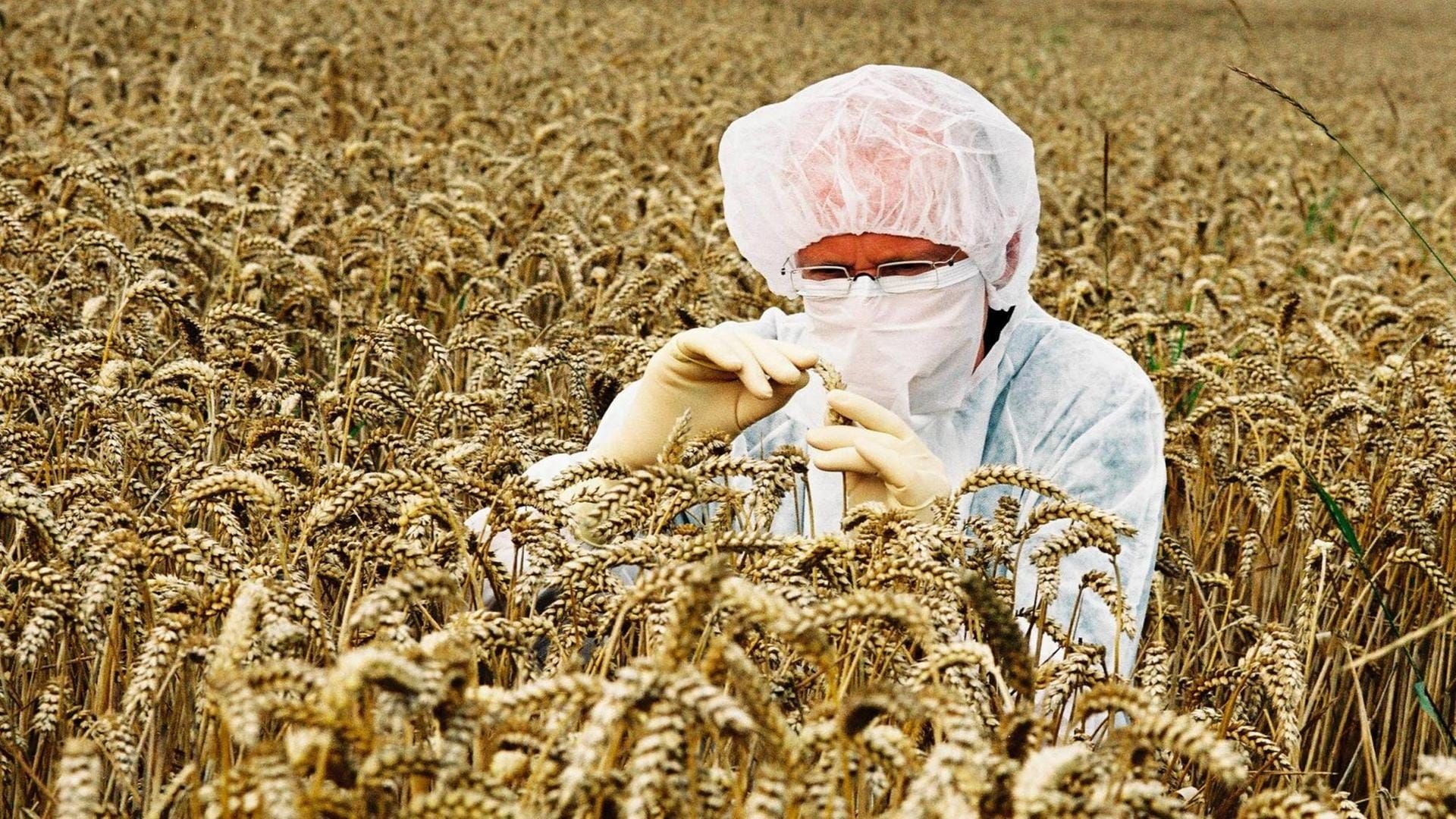 Europa verändert die Regeln für die Gentechnik