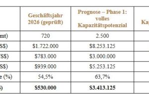 Evions Geschäftsbereich für expandierbaren Graphit erzielt ein EBITDA von 530.000 US$
